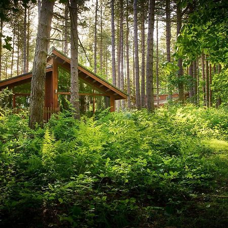 Blackwood Forest Cabins - Forest Holidays Popham Exterior photo